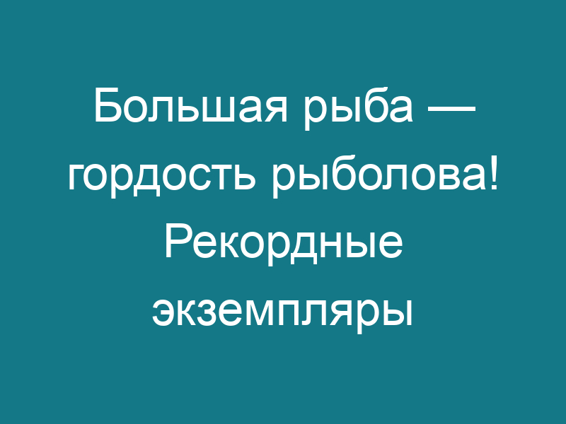 Большая рыба — гордость рыболова! Рекордные экземпляры