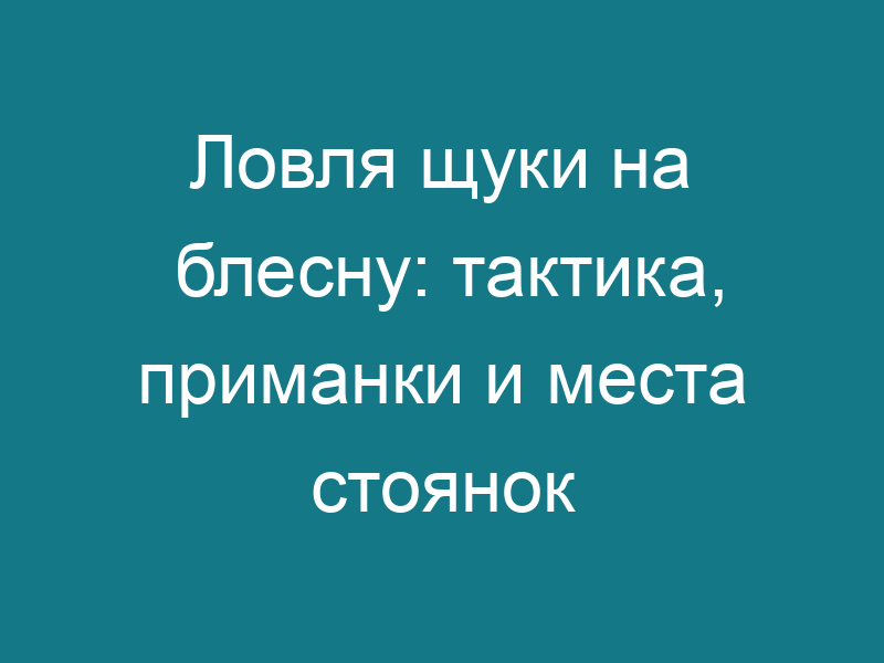 Ловля щуки на блесну: тактика, приманки и места стоянок