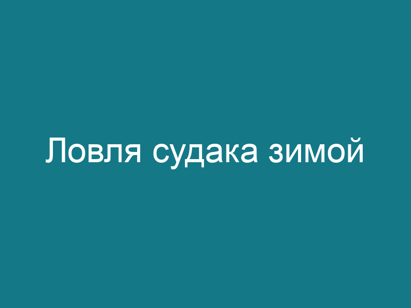 Ловля судака зимой